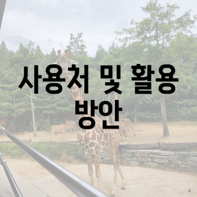 사용처 및 활용 방안
