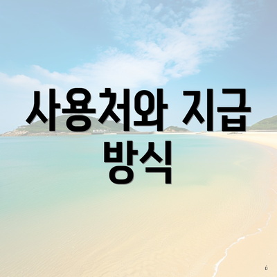 사용처와 지급 방식