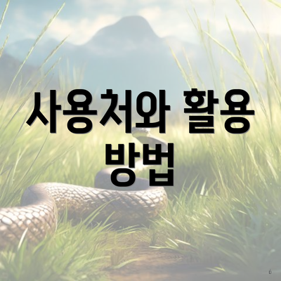 사용처와 활용 방법