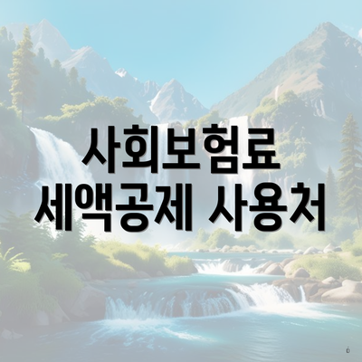 사회보험료 세액공제 사용처
