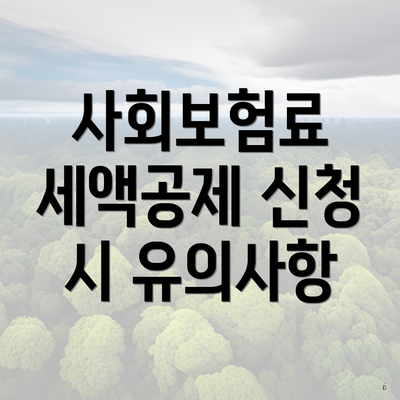 사회보험료 세액공제 신청 시 유의사항