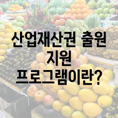 산업재산권 출원 지원 프로그램이란?