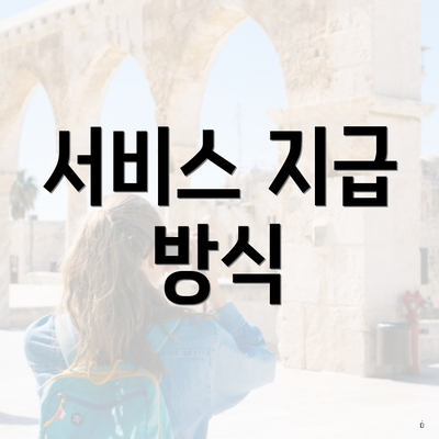 서비스 지급 방식