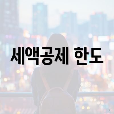 세액공제 한도