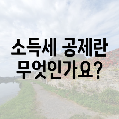 소득세 공제란 무엇인가요?