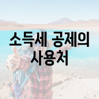 소득세 공제의 사용처