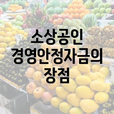 소상공인 경영안정자금의 장점