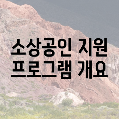 소상공인 지원 프로그램 개요