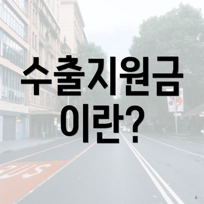수출지원금 이란?
