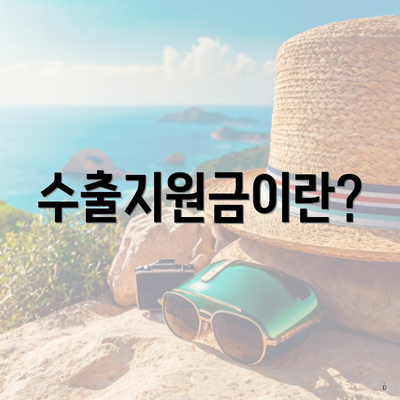 수출지원금이란?
