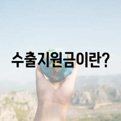 수출지원금이란?