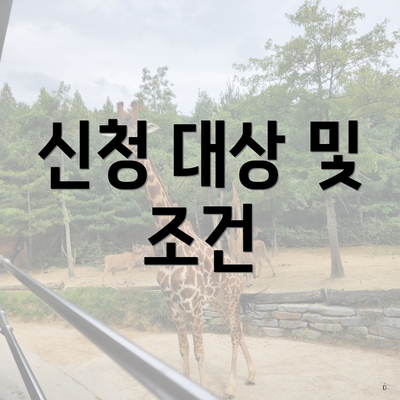 신청 대상 및 조건