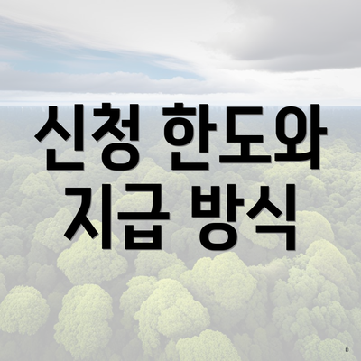 신청 한도와 지급 방식