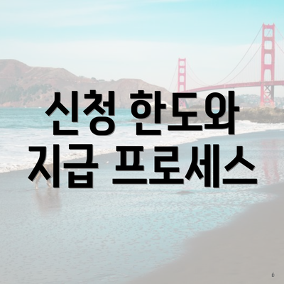 신청 한도와 지급 프로세스