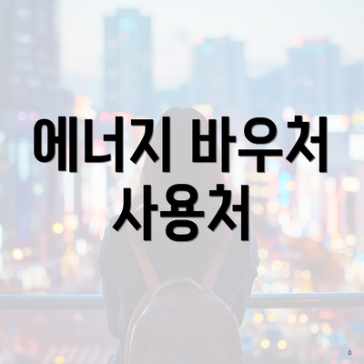 에너지 바우처 사용처