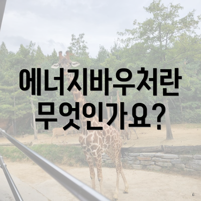 에너지바우처란 무엇인가요?