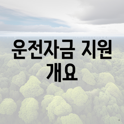운전자금 지원 개요