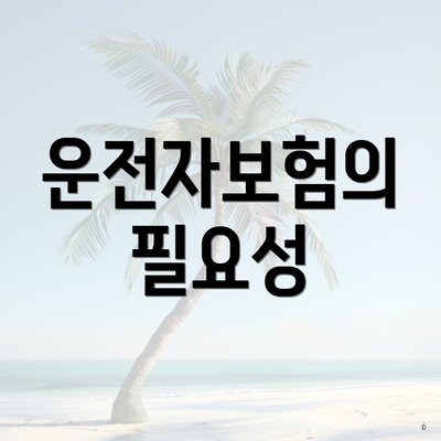 운전자보험의 필요성