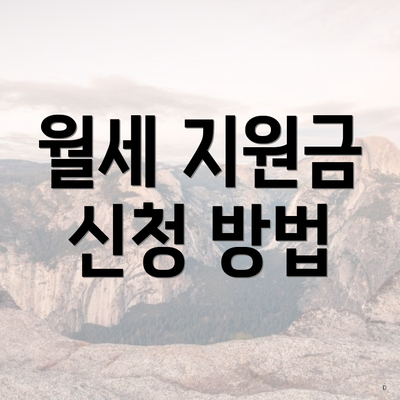 월세 지원금 신청 방법
