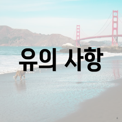 유의 사항