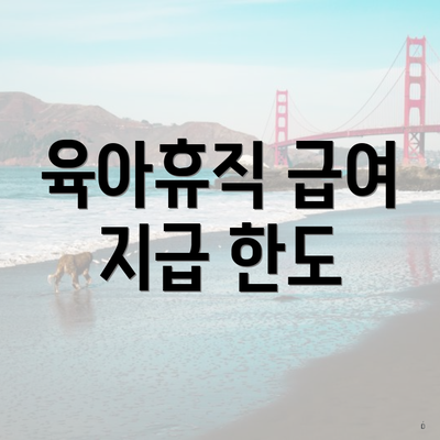 육아휴직 급여 지급 한도