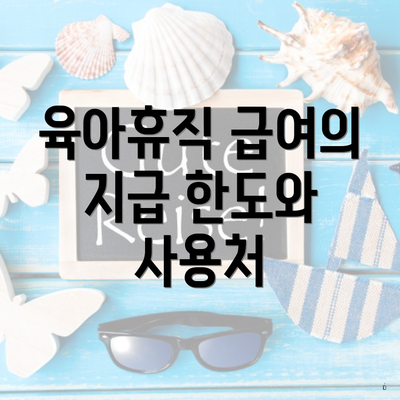 육아휴직 급여의 지급 한도와 사용처