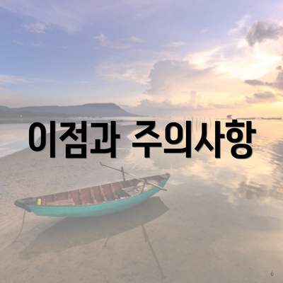 이점과 주의사항