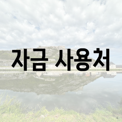 자금 사용처