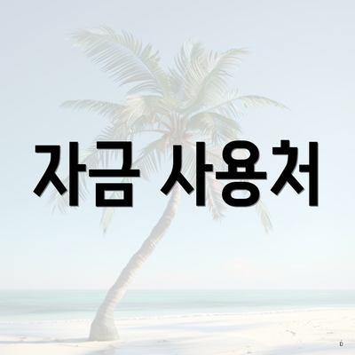 자금 사용처