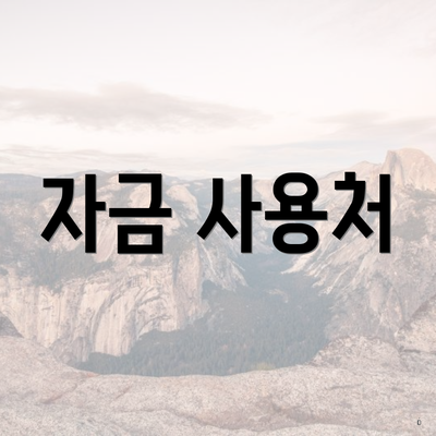 자금 사용처