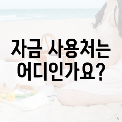 자금 사용처는 어디인가요?