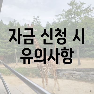 자금 신청 시 유의사항