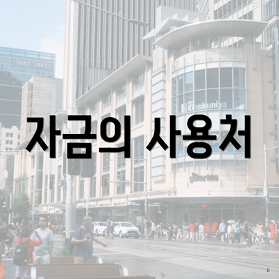자금의 사용처