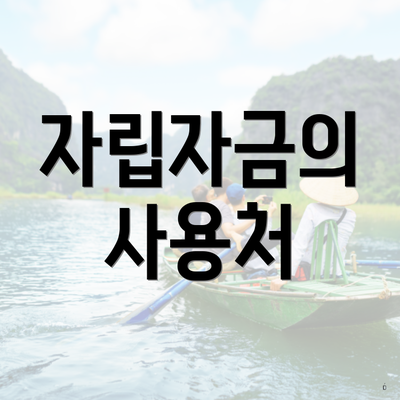 자립자금의 사용처