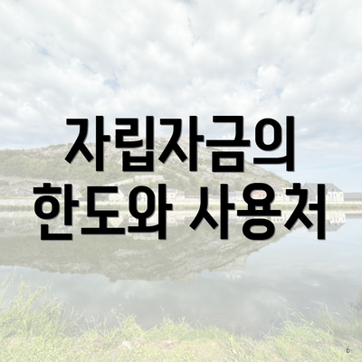 자립자금의 한도와 사용처