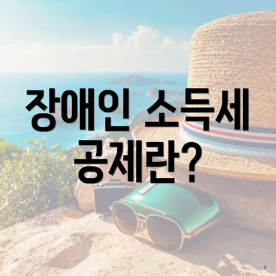 장애인 소득세 공제란?