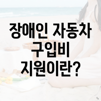 장애인 자동차 구입비 지원이란?