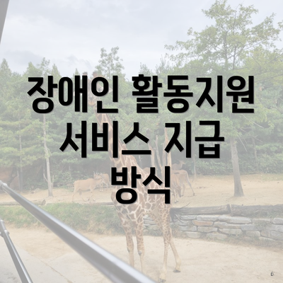 장애인 활동지원 서비스 지급 방식