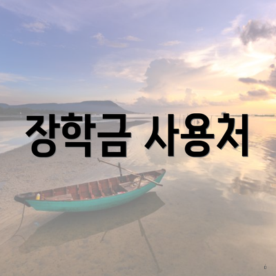 장학금 사용처