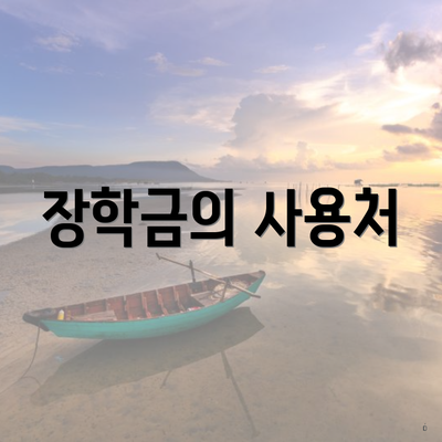 장학금의 사용처