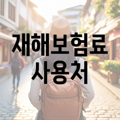 재해보험료 사용처