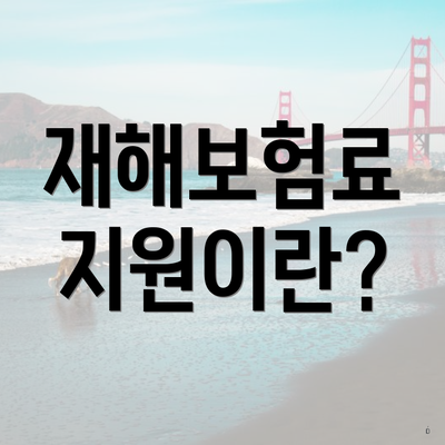 재해보험료 지원이란?