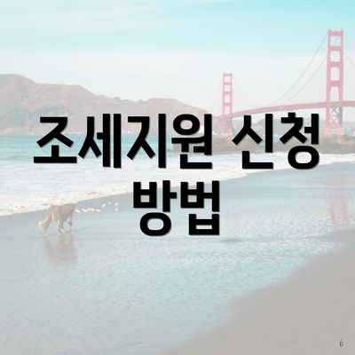 조세지원 신청 방법
