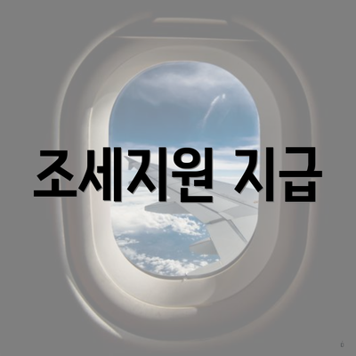 조세지원 지급
