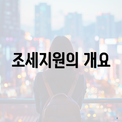 조세지원의 개요