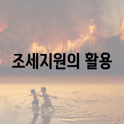 조세지원의 활용