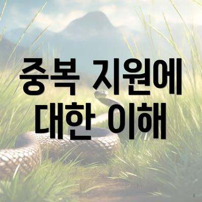 중복 지원에 대한 이해