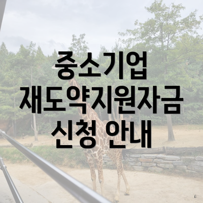 중소기업 재도약지원자금 신청 안내