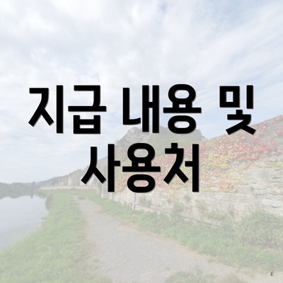 지급 내용 및 사용처