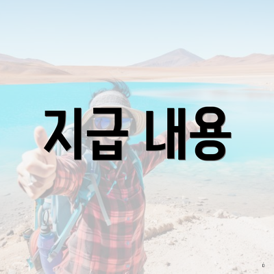 지급 내용